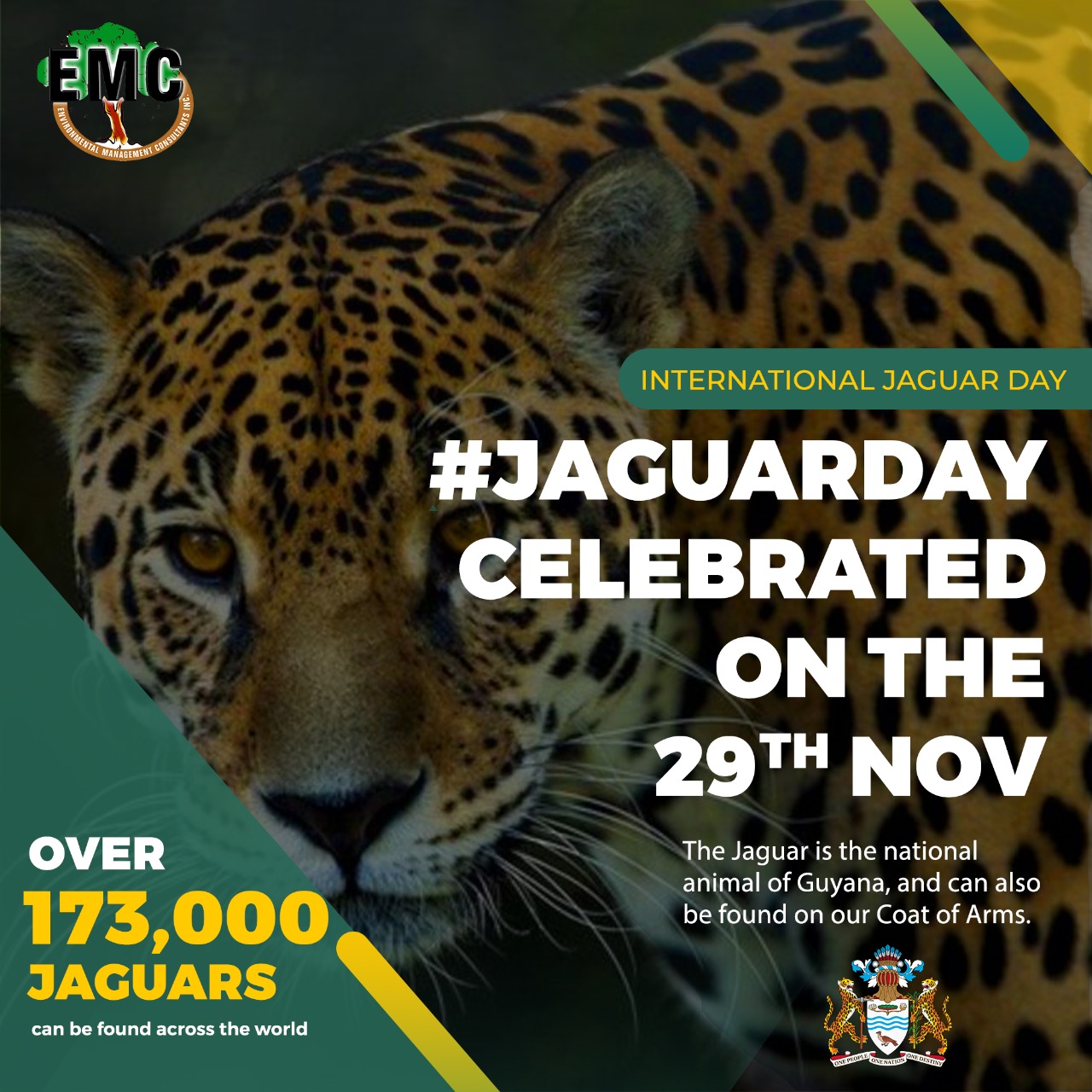 International Jaguar Day Saving the Spots! ENVIRONMENTAL MANAGEMENT