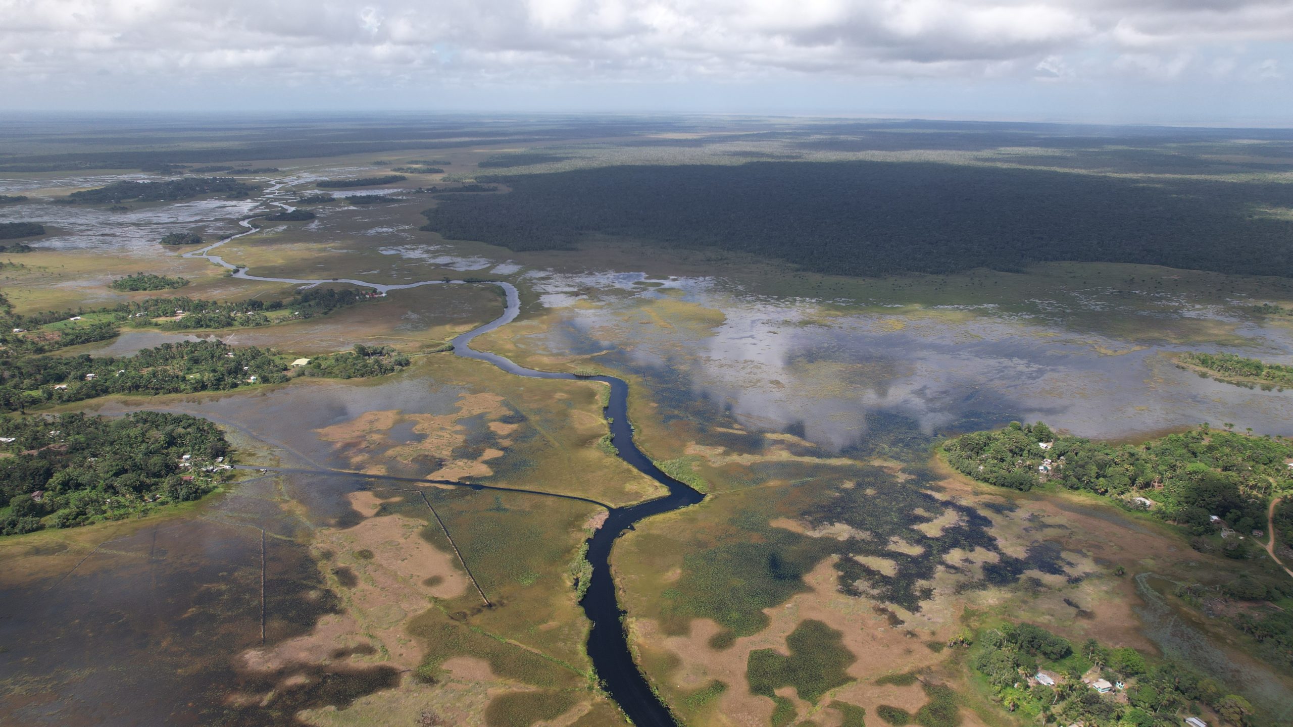 World Wetlands Day 2023: EMC Joins Calls to Protect Wetlands ...