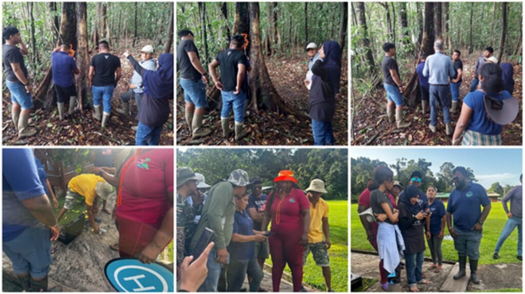 Day 4 of the Biodiversity Assessment Training