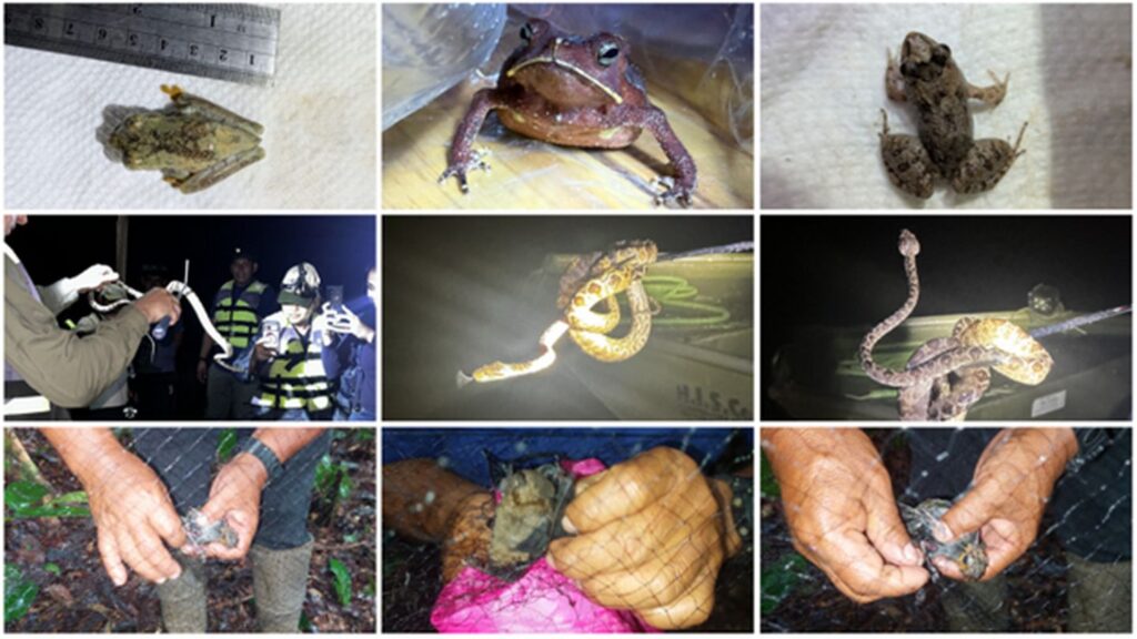 Wildlife Observed During the Biodiversity Assessment Training