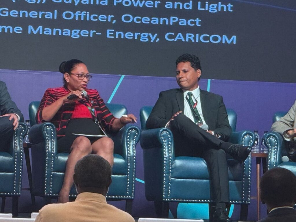 EMC’s Managing Director during the Panel Discussion