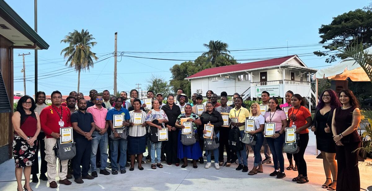 Advancing Agricultural Skills: Agricultural Professionals and Students Successfully Completed Second Shade House Training Programme