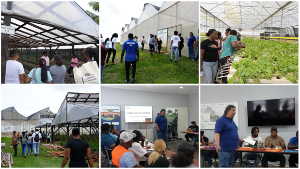 Day 4 Activities of the Shade House Training ProgrammeDay 3 Activities of the Shade House Training Programme