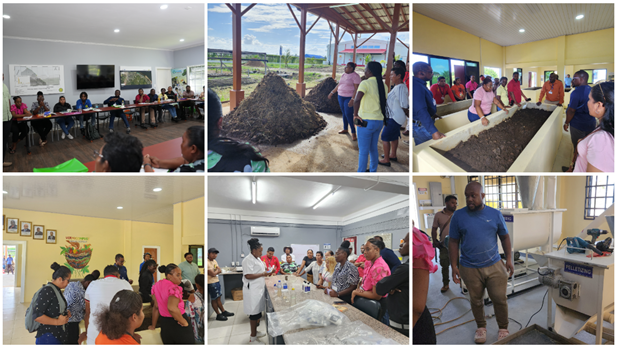 Day 5 Activities of the Shade House Training Programme