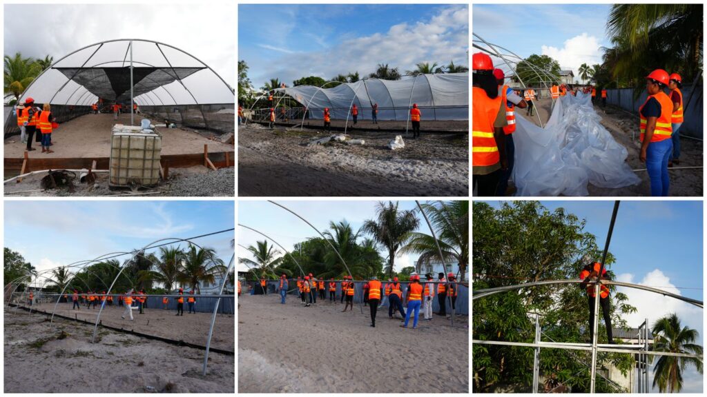 Day 3 Activities of the Shade House Training Programme 