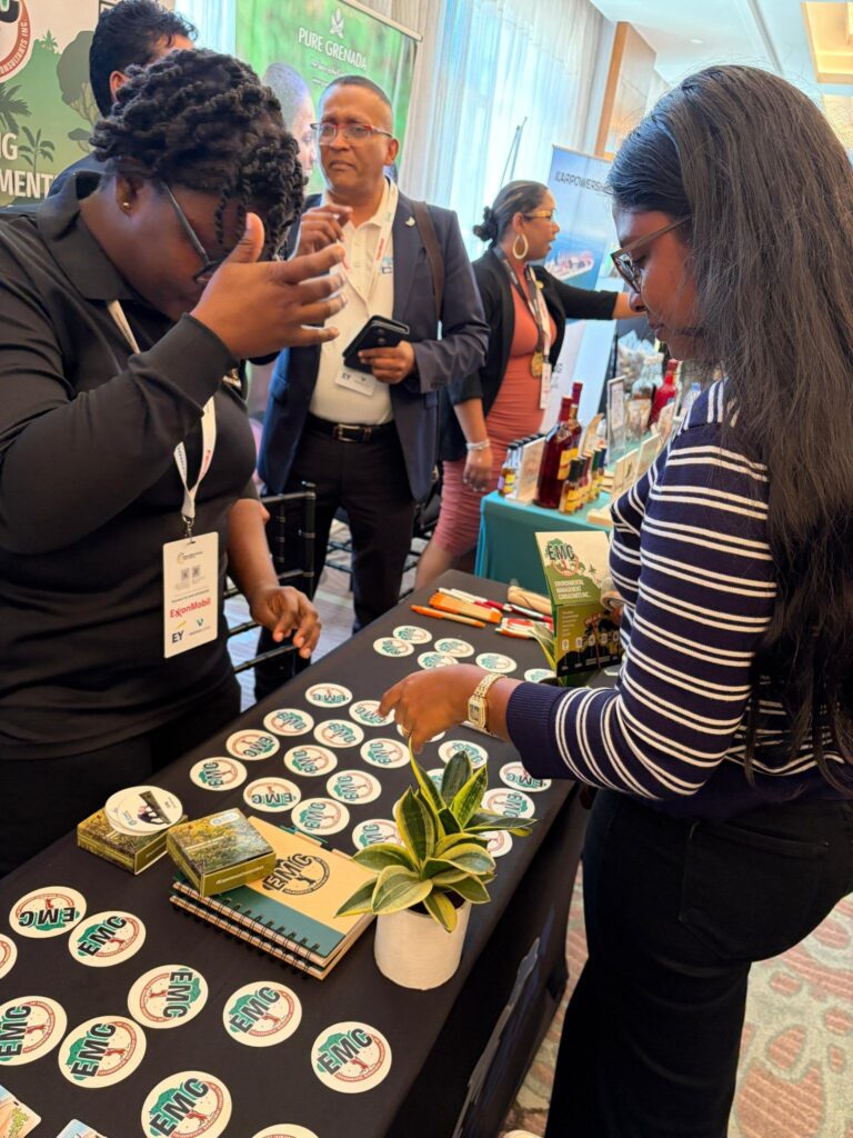 EMC Staff Interacting with Visitors during the Expo